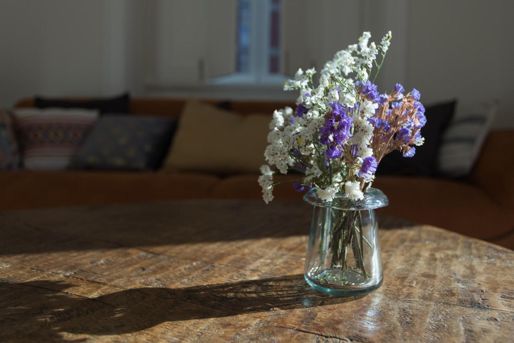 Vila Julieta Guesthouse 코임브라 외부 사진
